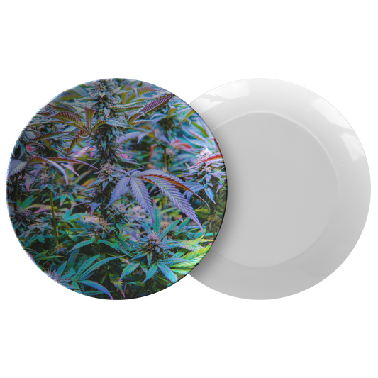 The Rainbow Cannabis Plate