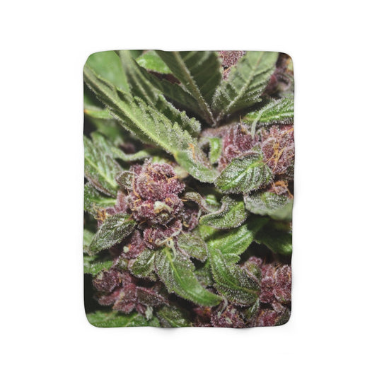 Cannabis Buds Sherpa Fleece Blanket