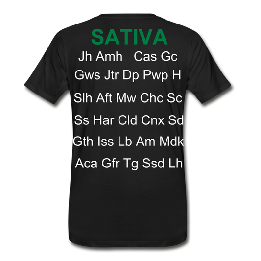 Men’s Premium Organic T-Shirt - black