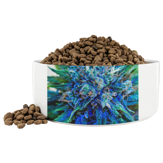 Catturare La Mia Attenzione Cannabis Pet Bowl