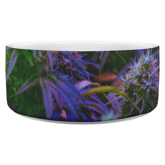The Purple Cannabis Pet Bowl