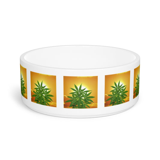 Bella Alba Cannabis Cannabis Pet Bowl
