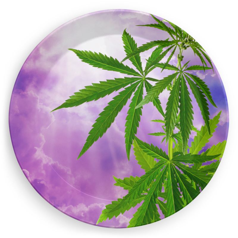 Sogno Di Cannabis Party Plates