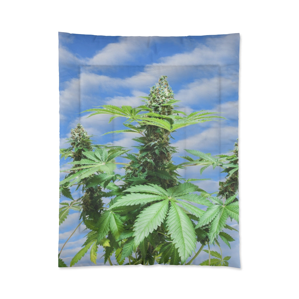 Sono Bella Cannabis Comforter