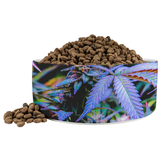 The Rainbow Cannabis Pet Bowl