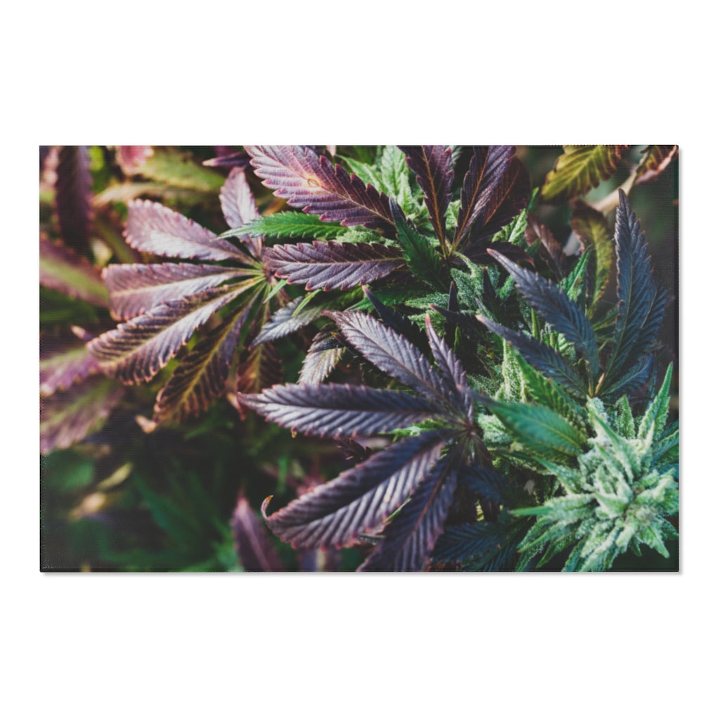My Cannabis Garden Area Rugs