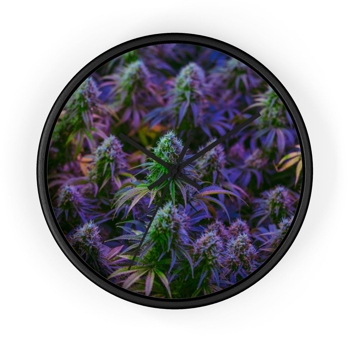 The Purple Cannabis Wall Clock