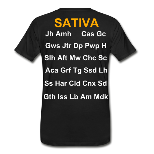 Men’s Premium Organic T-Shirt - black