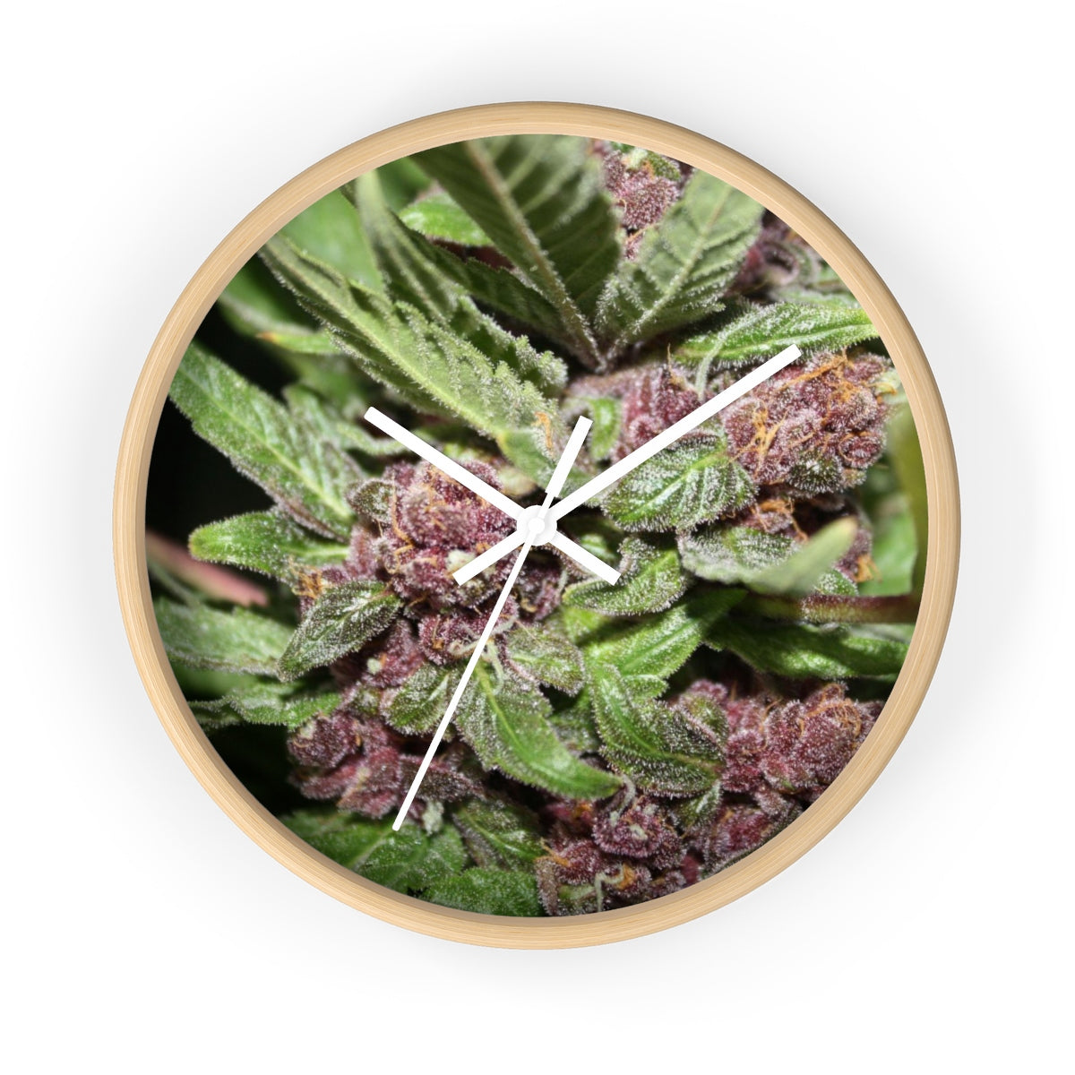 Cannabis Nugs Wall Clock