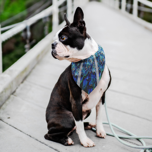 Catturare La Mia Attenzione Cannabis Pet Bandana