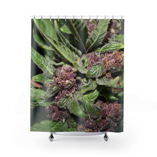 The Cannabis Buds Custom Designed Shower Curtain .  A Unique Cannabis Gift For Friends & Family. Cannabis Decor For Your Home.