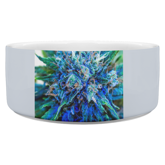 Catturare La Mia Attenzione Cannabis Pet Bowl