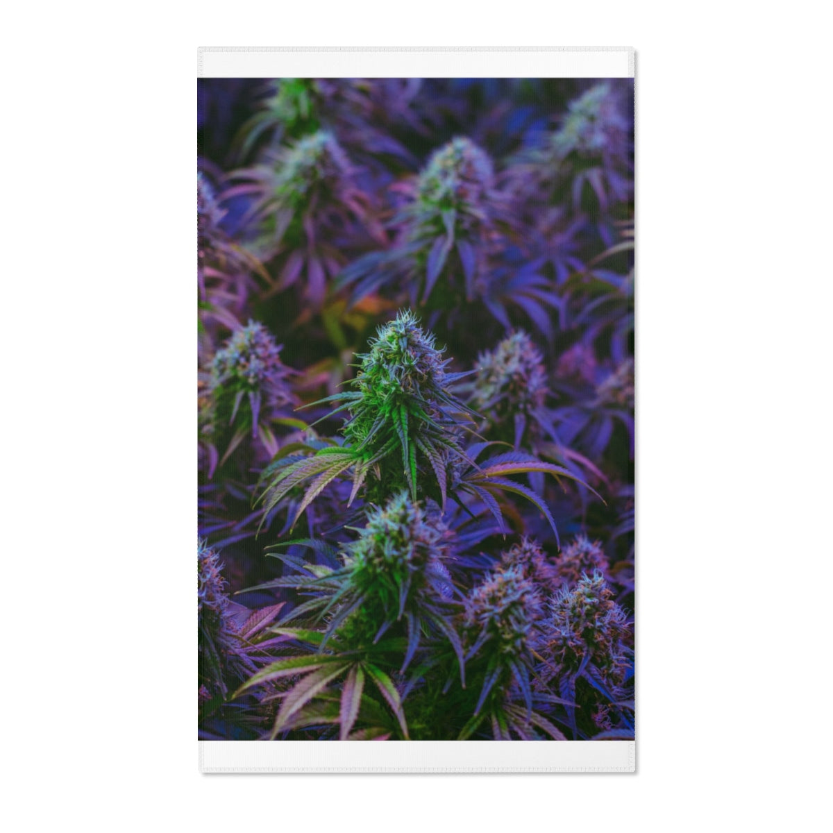 The Purple Cannabis Area Rugs