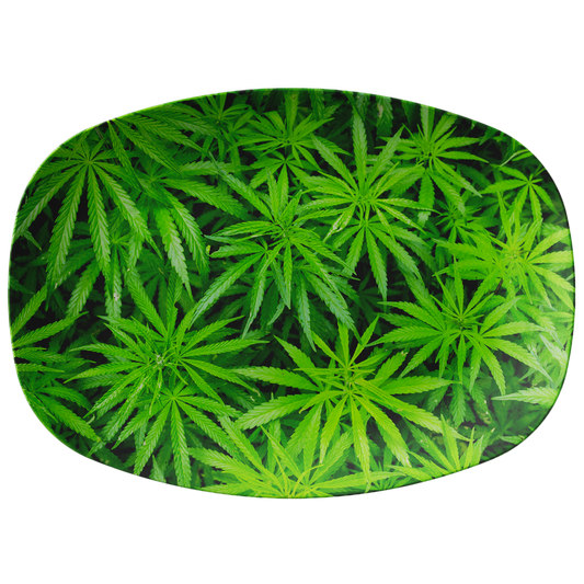 That Green Cannabis Platter