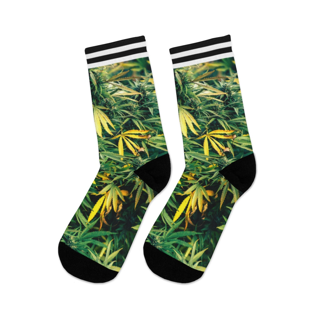 Fresco Cannabis Socks