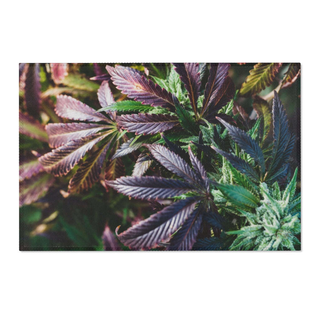 My Cannabis Garden Area Rugs