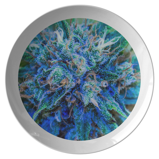 Catturare La Mia Attenzione Cannabis Plate- White