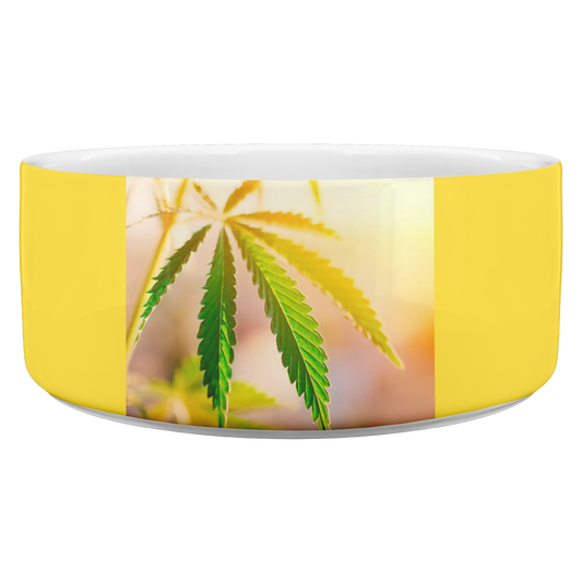 Sunrise Sunset Cannabis Pet Bowl