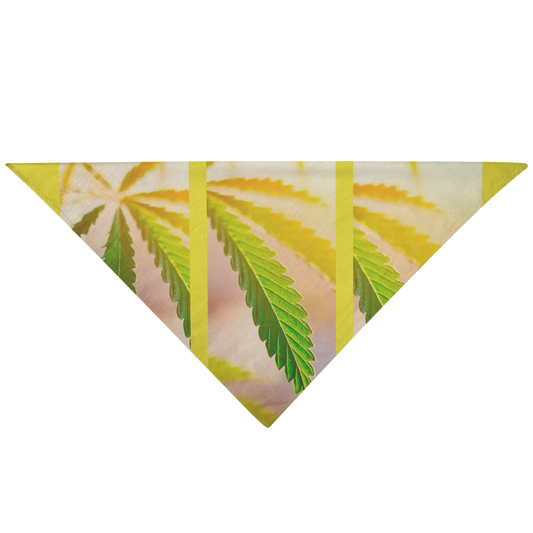 Sunrise Sunset Cannabis Pet Bandana
