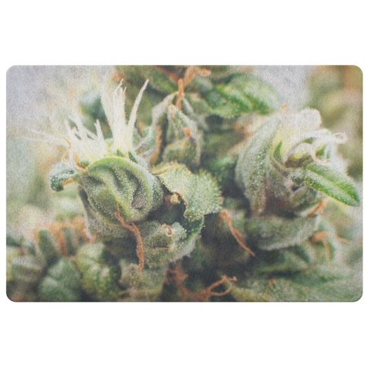 Cannabloom Cannabis Doormat