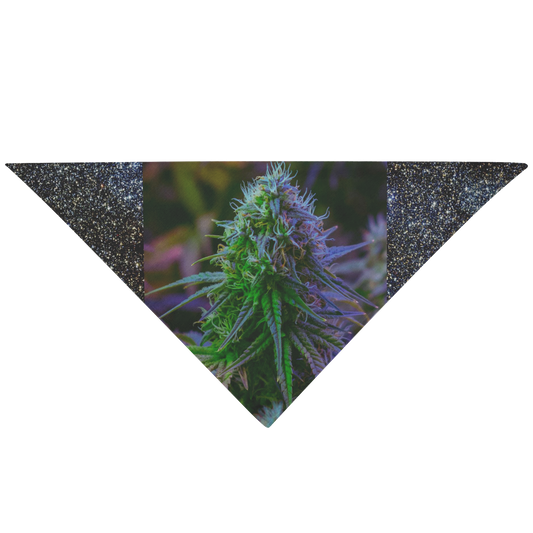 The Purple Cannabis Pet Bandana