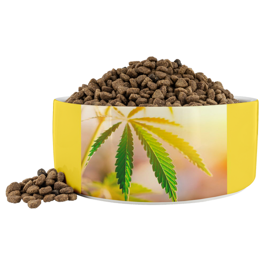 Sunrise Sunset Cannabis Pet Bowl