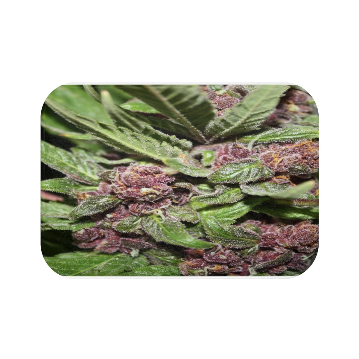 Cannabis Bud Custom Designed Shower Mat.  A Unique Cannabis Gift For Friends & Family. Cannabis Decor For Your Home.