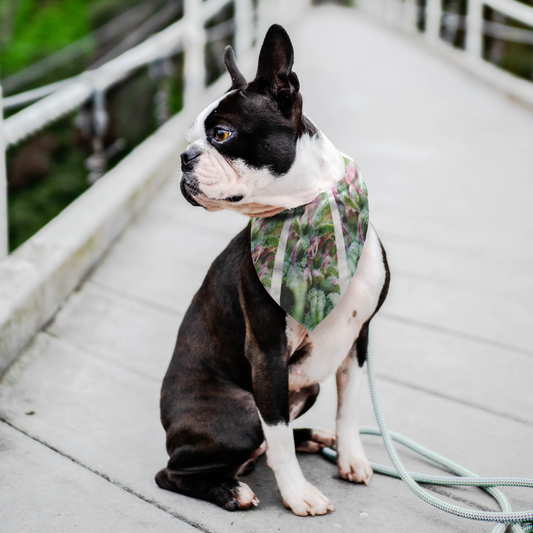 Blooming With Purple Cannabis Pet Bandana