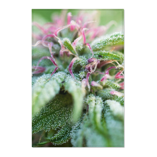Blooming With Purple Cannabis Area Rugs