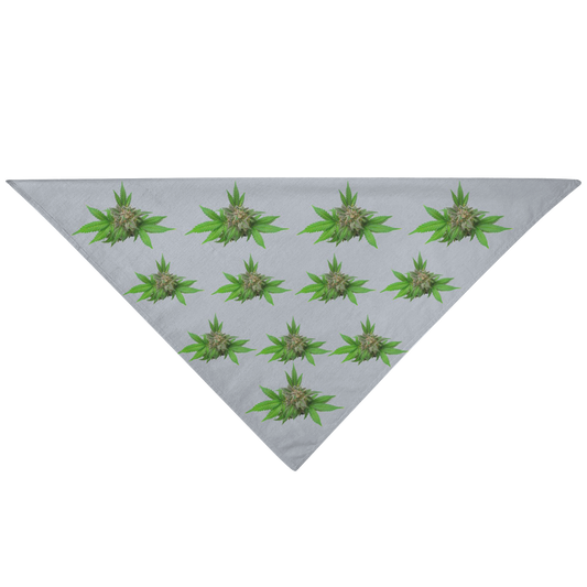 Semplicemente Cannabis Pet Bandana