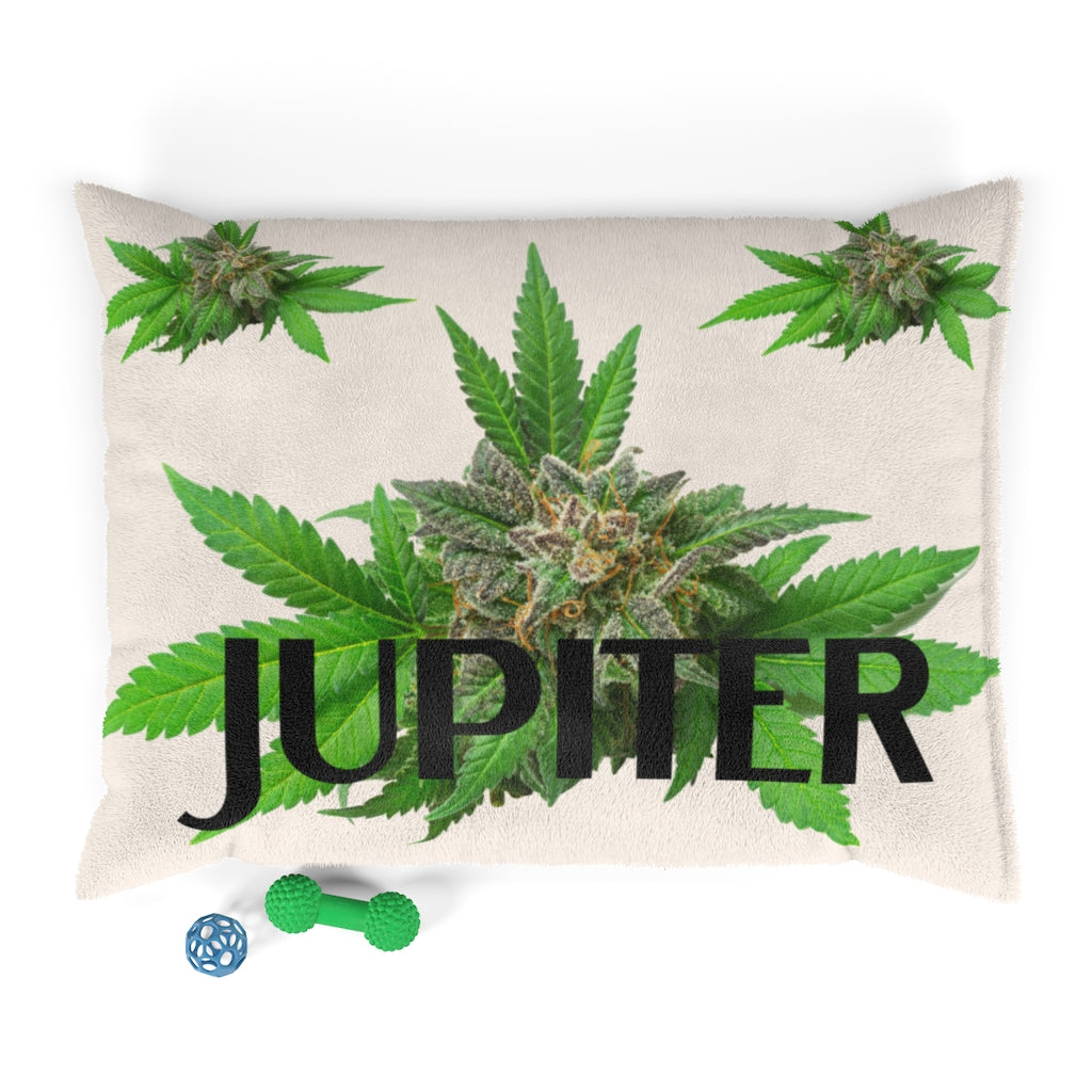 Customized Cannabis Pet Bed-Semplicemente Cannabis Pet Bed