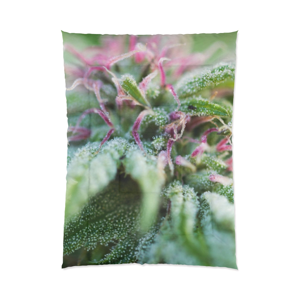 Blooming With Purple Cannabis Custom Designed Comforter.  A Unique Cannabis Gift For Friends & Family. Cannabis Decor For Your Home.