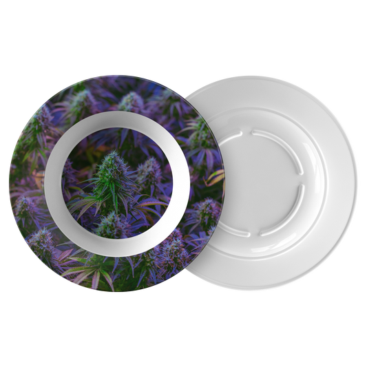 The Purple Cannabis Bowl