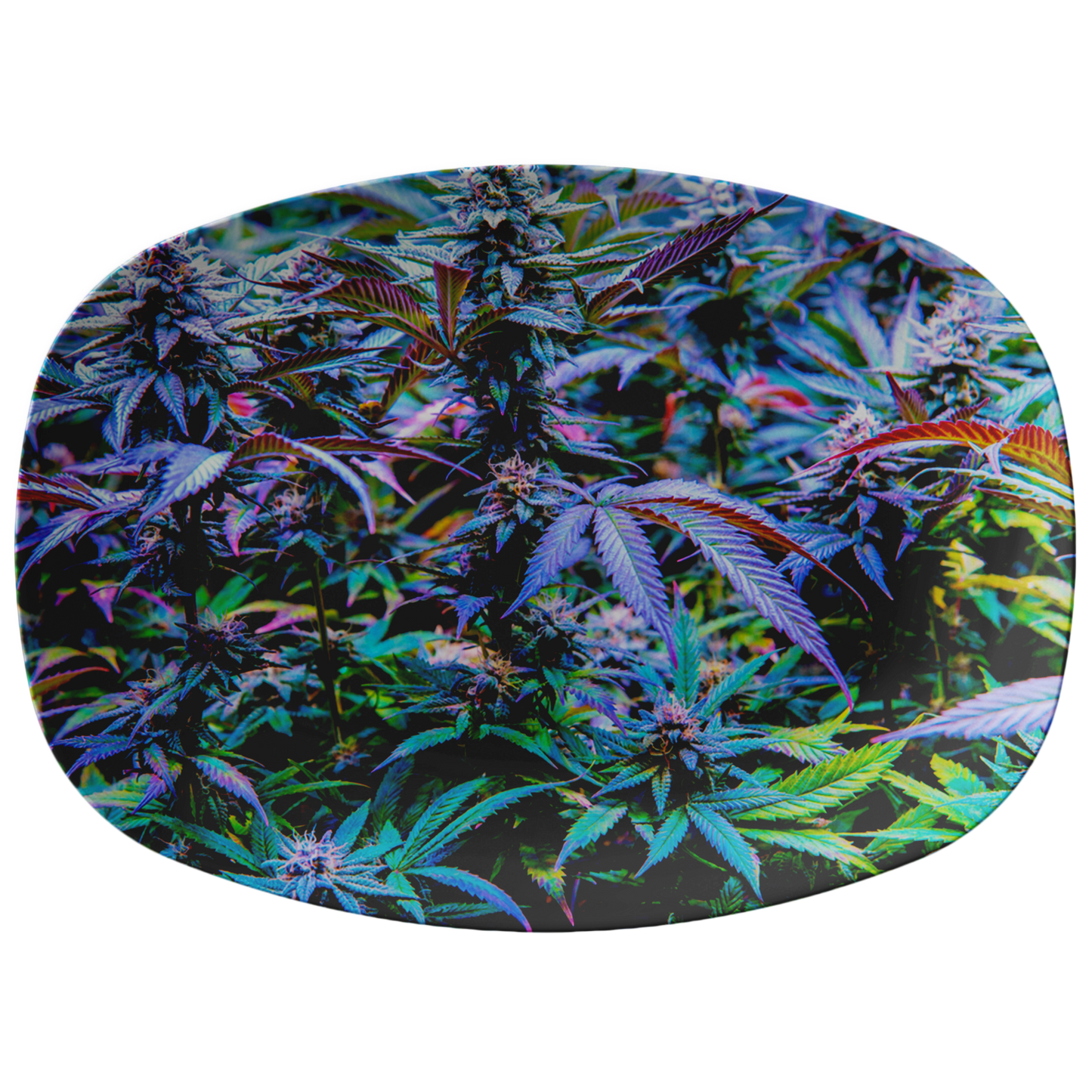 The Rainbow Cannabis Platter
