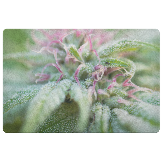 Blooming With Purple Cannabis Doormat