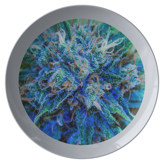 Catturare La Mia Attenzione Cannabis Plate- Grey
