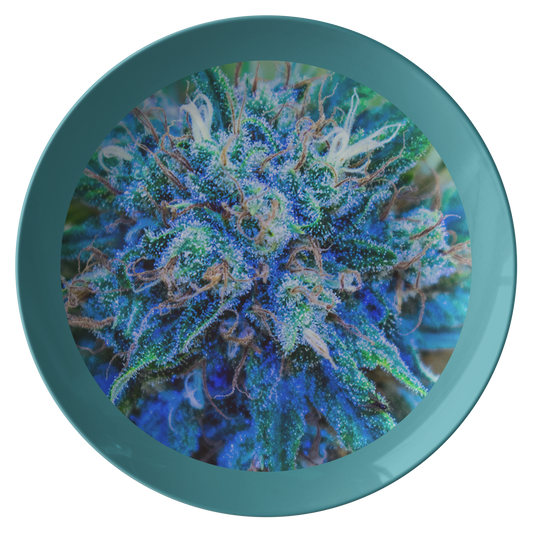 Catturare La Mia Attenzione Cannabis Plate