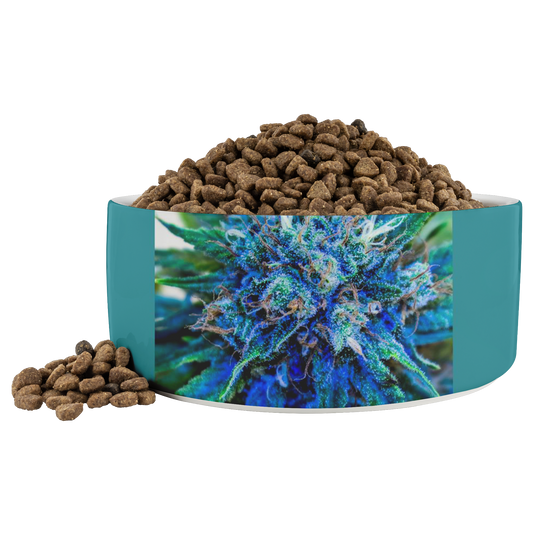 Catturare La Mia Attenzione Cannabis Pet Bowl