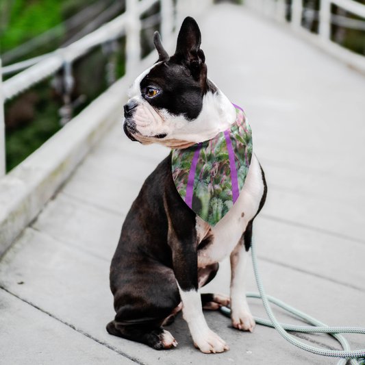 Blooming With Purple Cannabis Pet Bandana