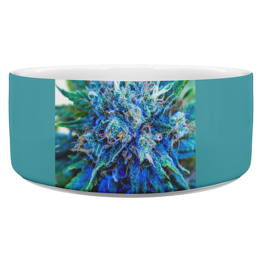 Catturare La Mia Attenzione Cannabis Pet Bowl