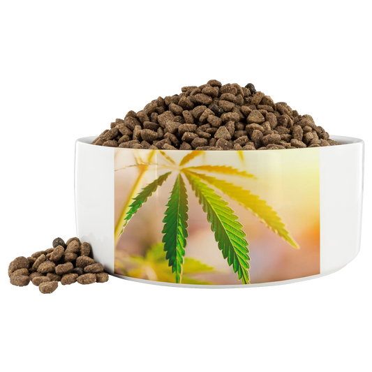 Sunrise Sunset Cannabis Pet Bowl