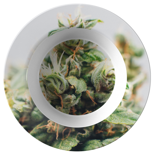 CannaBloom Cannabis Bowl