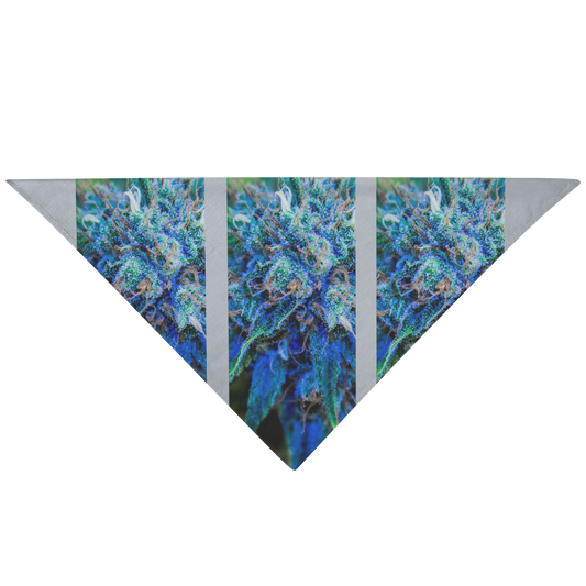 Catturare La Mia Attenzione Cannabis Pet Bandana