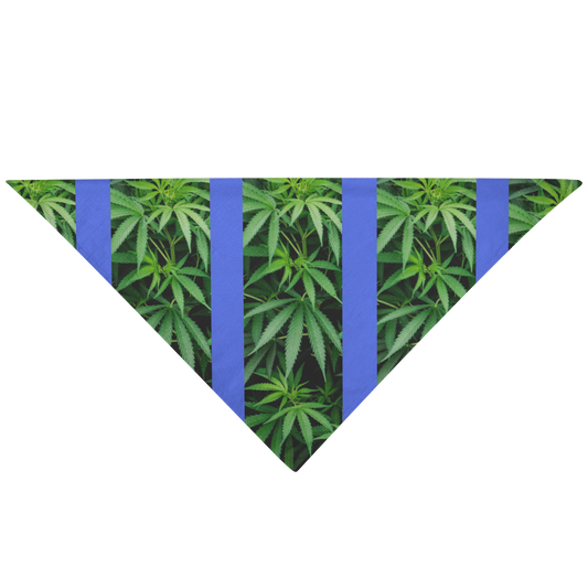 My Cannabis Pet Bandana