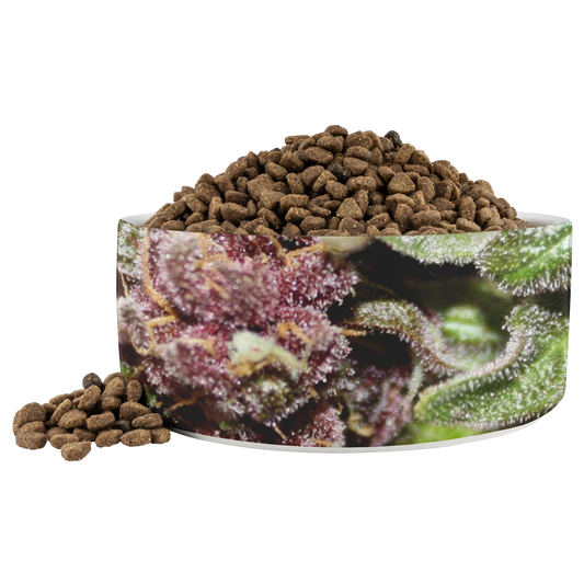 The Cannabis Bud Pet Bowl