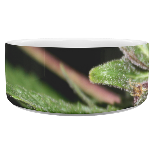 The Cannabis Bud Pet Bowl