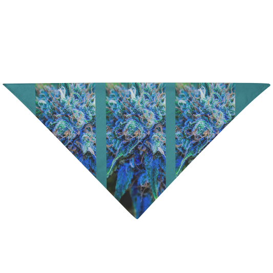 Catturare La Mia Attenzione Cannabis Pet Bandana