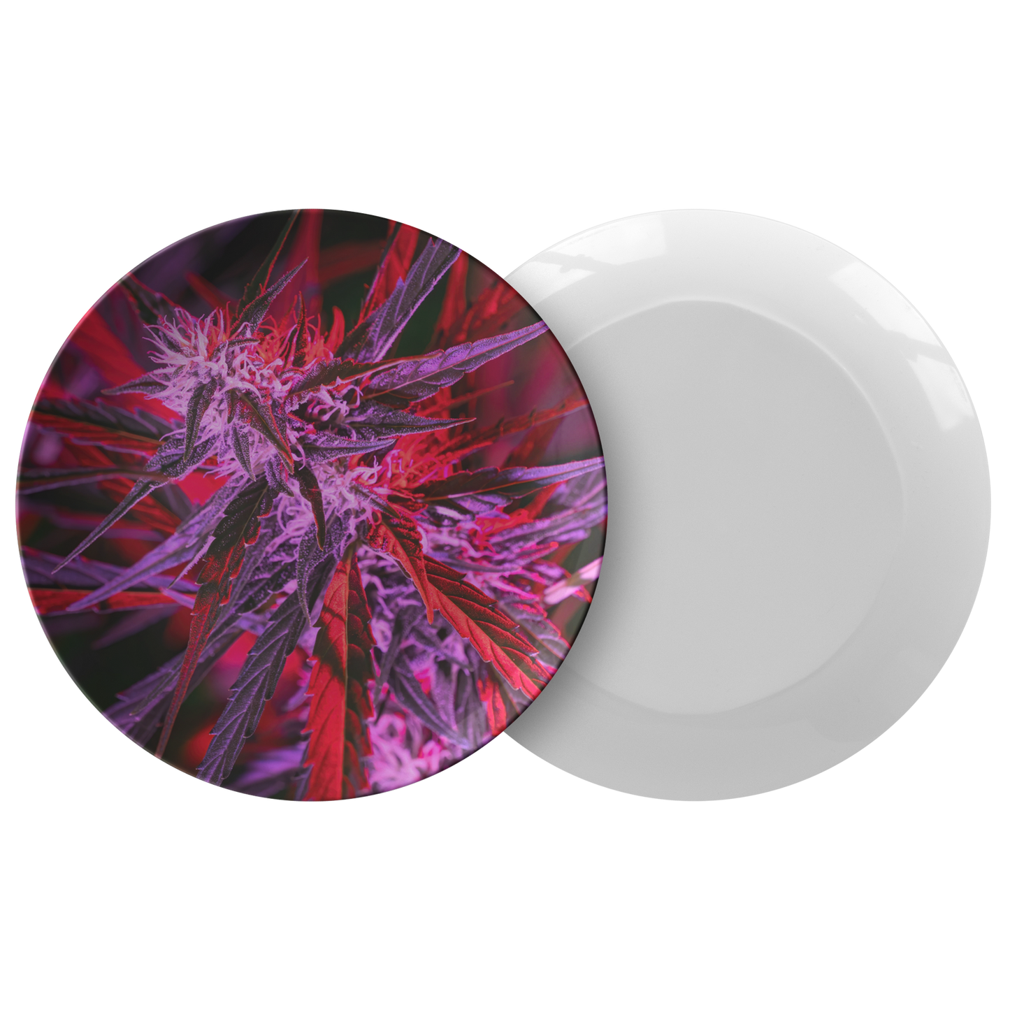 Into The Cannabis Galaxy Purple Plate