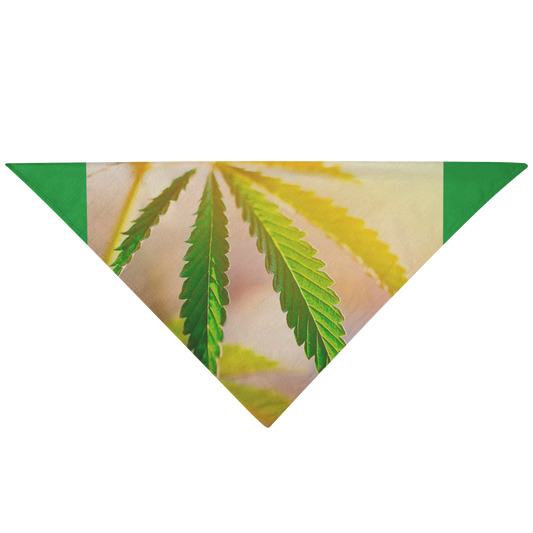 Sunrise Sunset Cannabis Pet Bandana