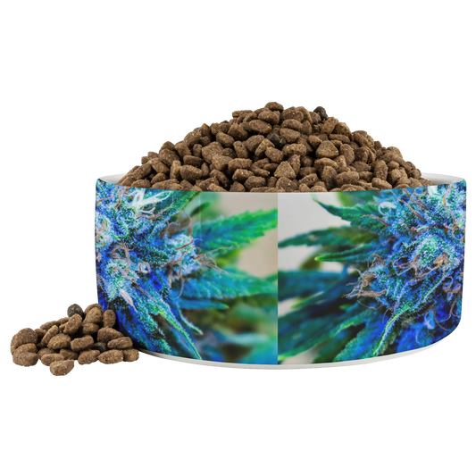Catturare La Mia Attenzione Cannabis Pet Bowl